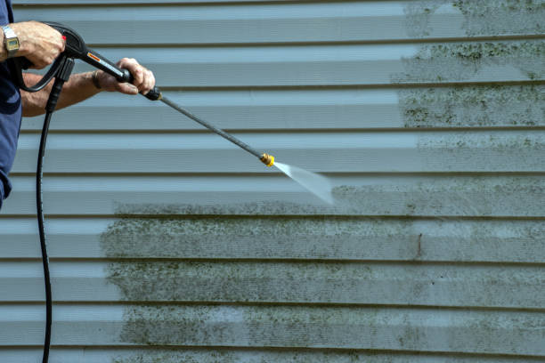 Best Sidewalk and Walkway Cleaning  in East Mountain, TX