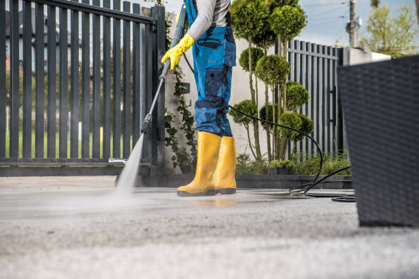Best Gutter Cleaning  in East Mountain, TX